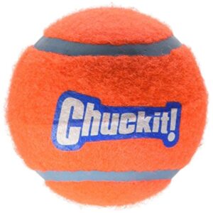 084001_-Tennis-Ball-1-Pack-Large.jpg