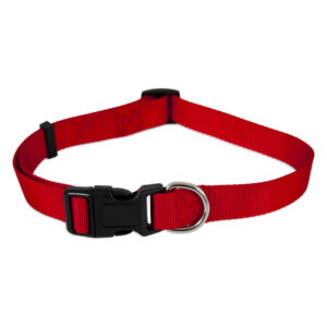 20806_Collar ajustable de nylon rojo 02