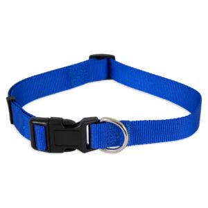 20808_Collar ajustable de nylon azul 01