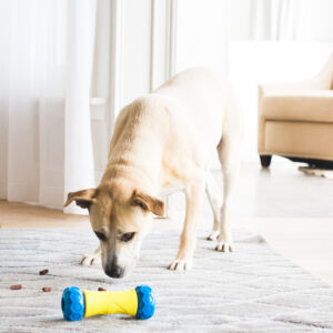 32290_Dispensador Electronico Robo Bone 04