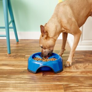 63240_Plato De Alimentación Lento 03