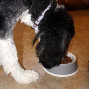 ENT25_Plato Ecoware Mediano 03